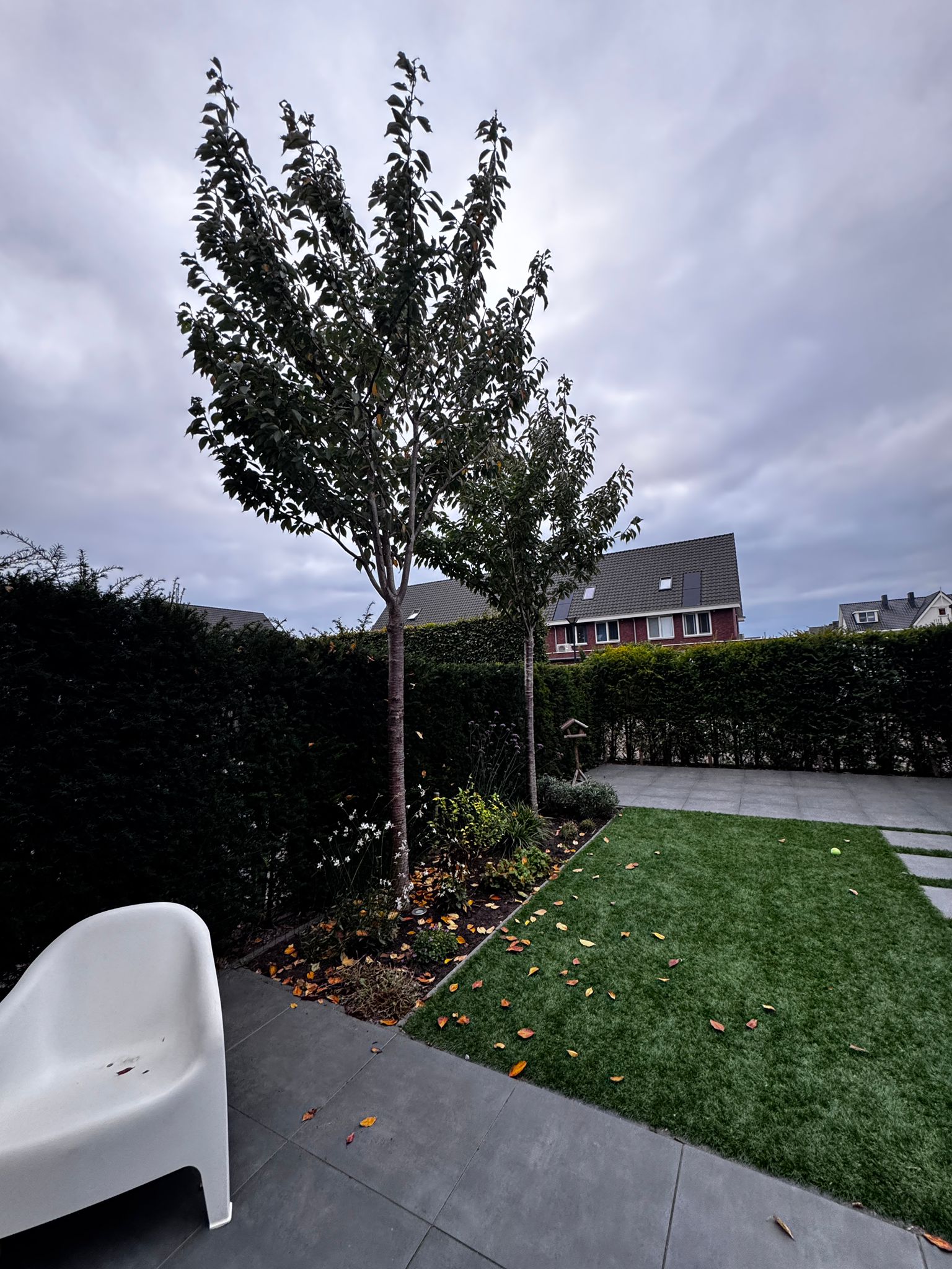 Moerbeibomen Vlijmen