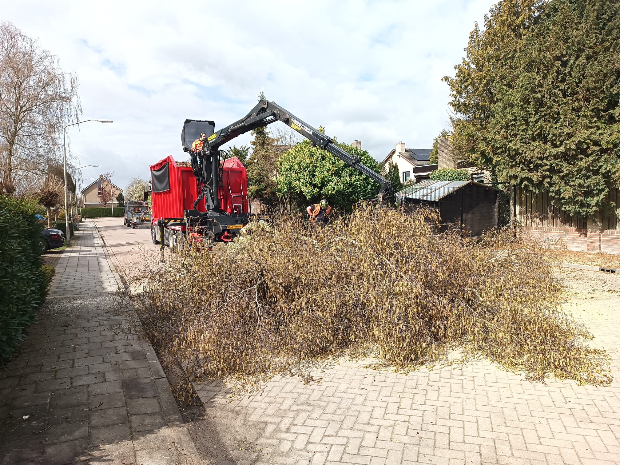 Berk en Esdoorn Vlijmen