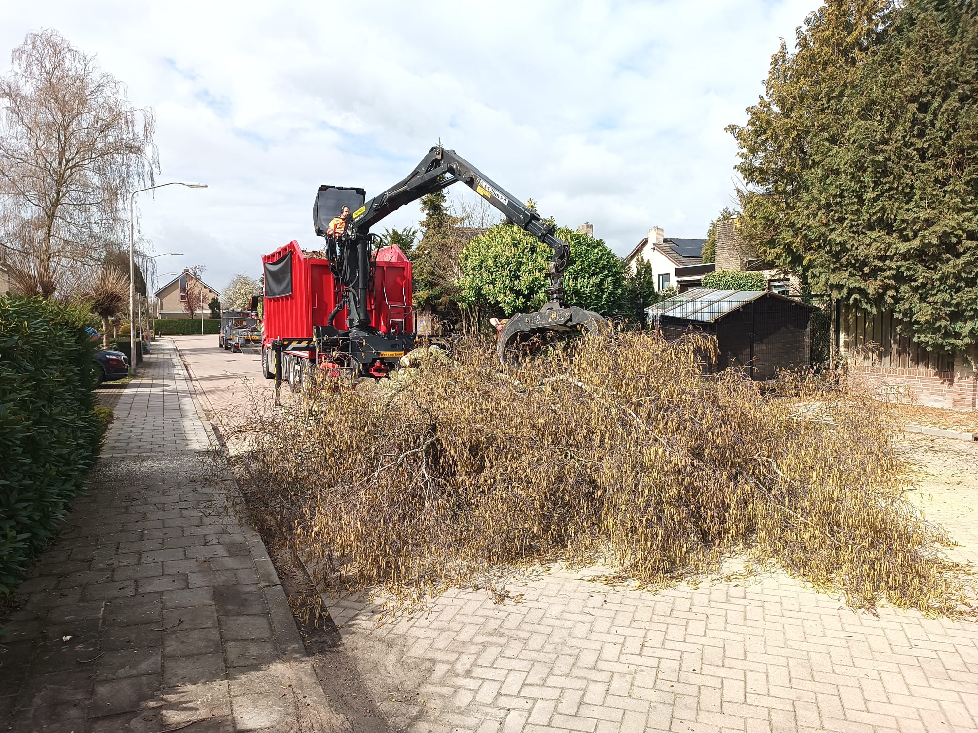 Berk en Esdoorn Vlijmen